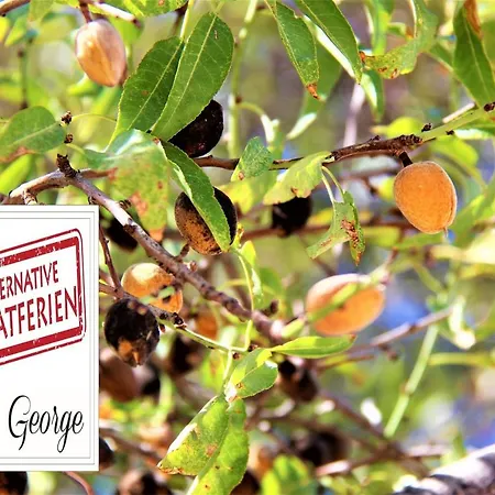 Tzionis Holidays Stonehouse Gospodarstwo wiejskie