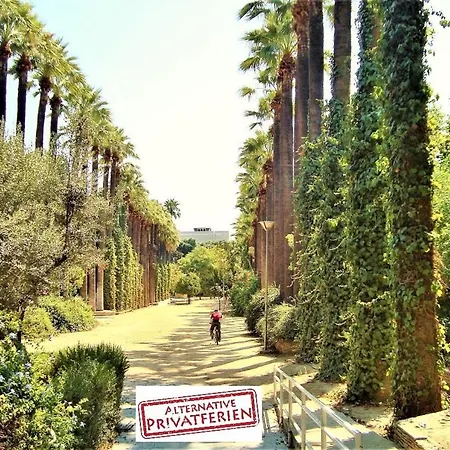 Tzionis Holidays Stonehouse