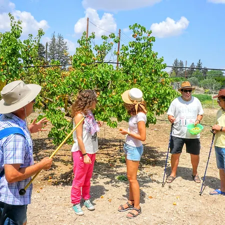 Tzionis Holidays Stonehouse Kır Evi *