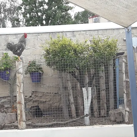 Kır Evi Tzionis Holidays Stonehouse