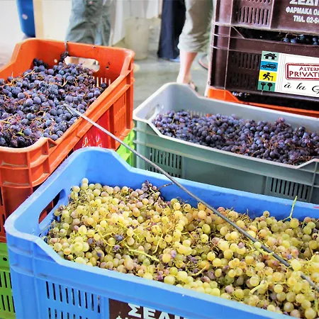 Tzionis Holidays Stonehouse Kır Evi Lympia