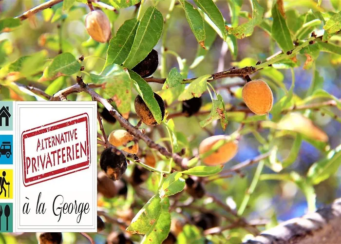 Tzionis Holidays Stonehouse 컨트리하우스