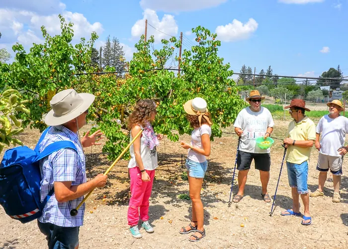 Tzionis Holidays Stonehouse 컨트리하우스 *