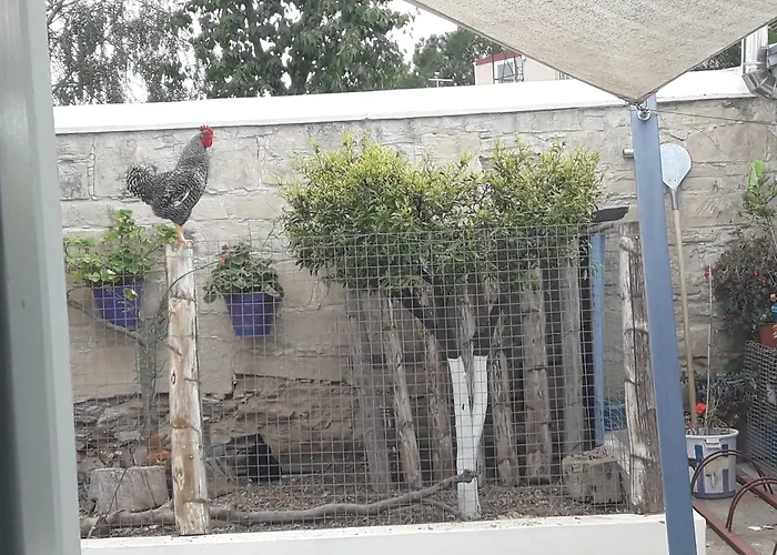 컨트리하우스 Tzionis Holidays Stonehouse