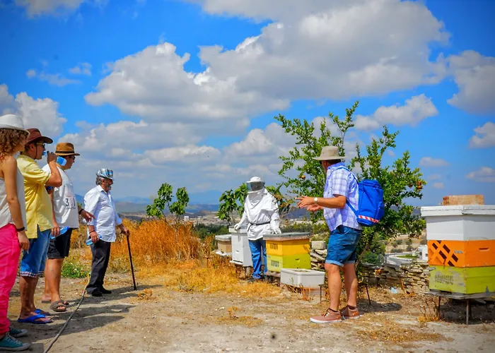 컨트리하우스 Tzionis Holidays Stonehouse *