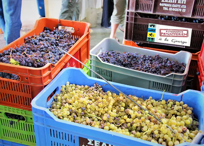 Tzionis Holidays Stonehouse 컨트리하우스 Lympia